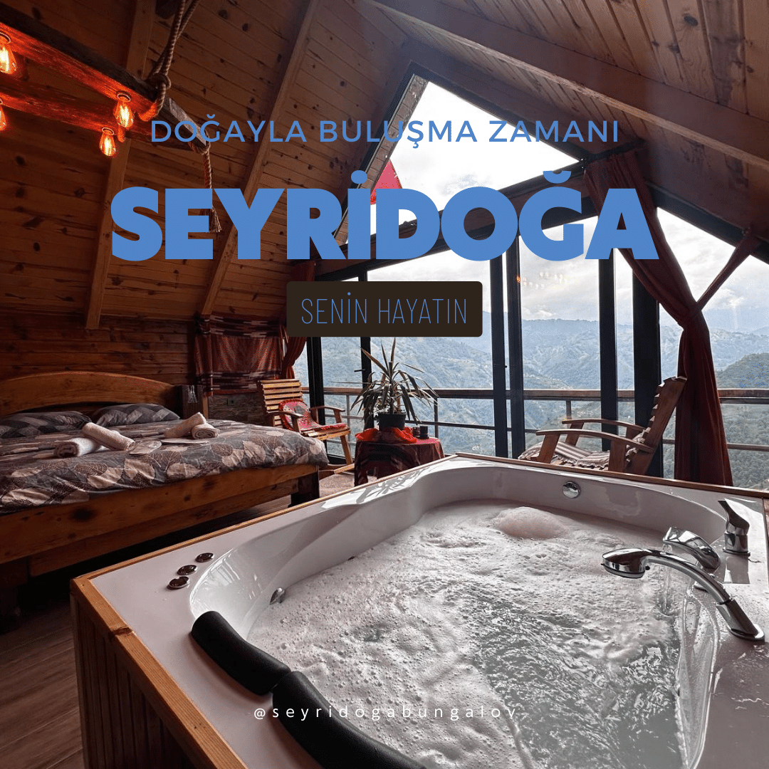 Yönetim Panelli Çok dil & Otel & Pansiyon SCRİPTİ